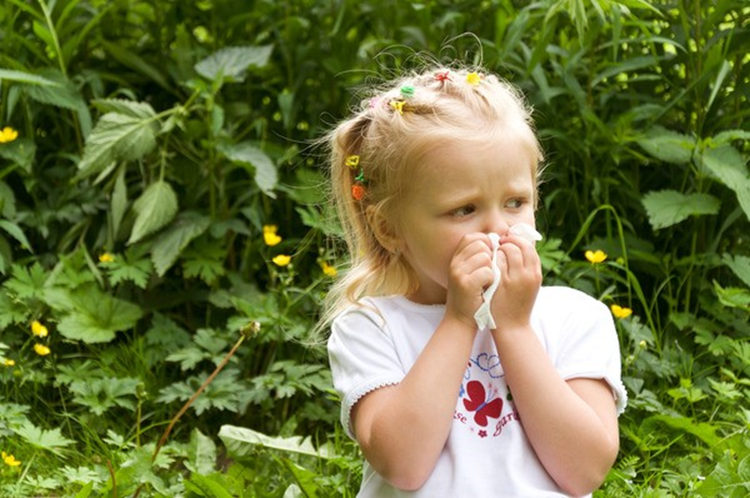 Причина аллергии на пыльцу у детей